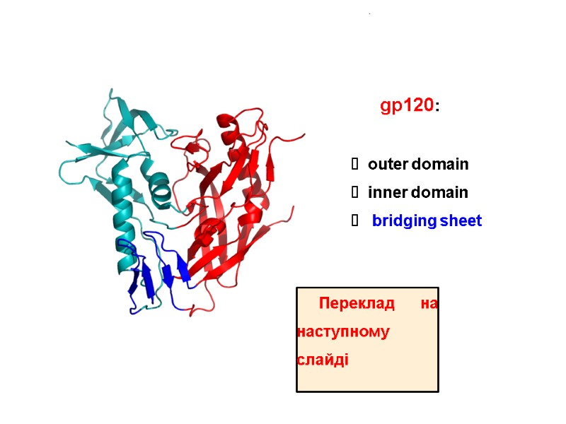 gp120: outer domain inner domain  bridging sheet Переклад на наступному слайді